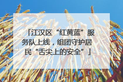 江汉区“红黄蓝”服务队上线，组团守护居民“舌尖上的安全”