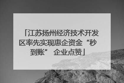 江苏扬州经济技术开发区率先实现惠企资金“秒到账” 企业点赞
