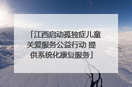 江西启动孤独症儿童关爱服务公益行动 提供系统化康复服务