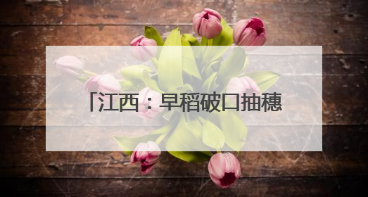 江西：早稻破口抽穗 统防统治防病虫