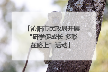沁阳市民政局开展“研学促成长 多彩在路上”活动