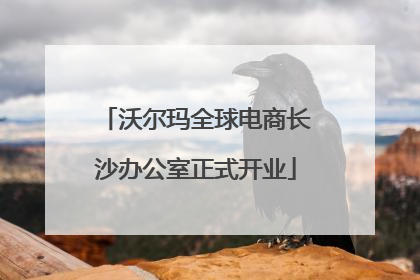 沃尔玛全球电商长沙办公室正式开业