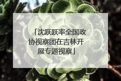 沈跃跃率全国政协视察团在吉林开展专题视察