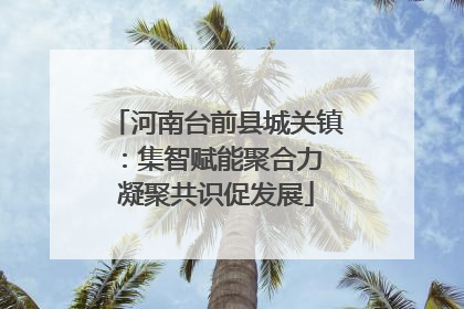 河南台前县城关镇：集智赋能聚合力 凝聚共识促发展