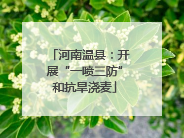 河南温县：开展“一喷三防”和抗旱浇麦