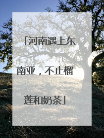 河南遇上东南亚，不止榴莲和奶茶