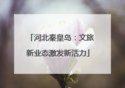 河北秦皇岛：文旅新业态激发新活力