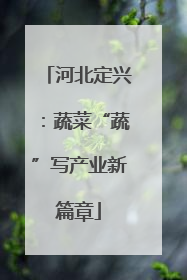 河北定兴：蔬菜“蔬”写产业新篇章