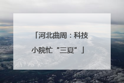 河北曲周：科技小院忙“三夏”