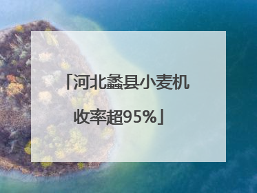 河北蠡县小麦机收率超95%