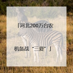 河北200万台农机备战“三夏”