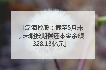 泛海控股：截至5月末，未能按期偿还本金余额328.13亿元