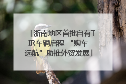 浙南地区首批自有TIR车辆启程 “购车远航”助推外贸发展