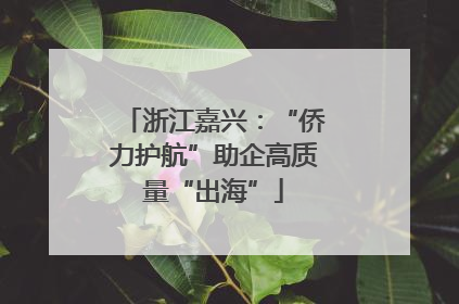 浙江嘉兴：“侨力护航”助企高质量“出海”