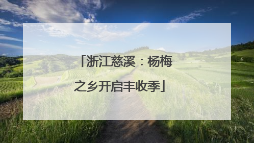 浙江慈溪：杨梅之乡开启丰收季