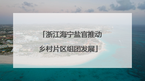 浙江海宁盐官推动乡村片区组团发展