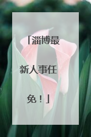 淄博最新人事任免！