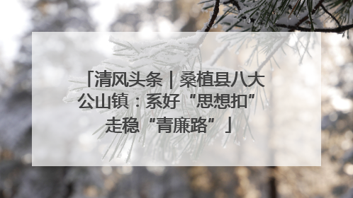清风头条｜桑植县八大公山镇：系好“思想扣” 走稳“青廉路”