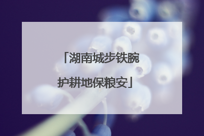 湖南城步铁腕护耕地保粮安