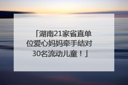 湖南21家省直单位爱心妈妈牵手结对30名流动儿童！