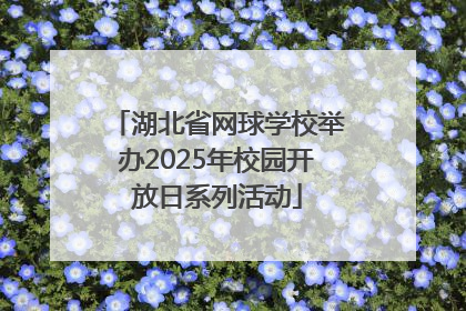 湖北省网球学校举办2025年校园开放日系列活动