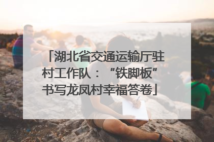 湖北省交通运输厅驻村工作队：“铁脚板”书写龙凤村幸福答卷