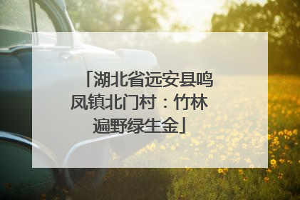 湖北省远安县鸣凤镇北门村：竹林遍野绿生金