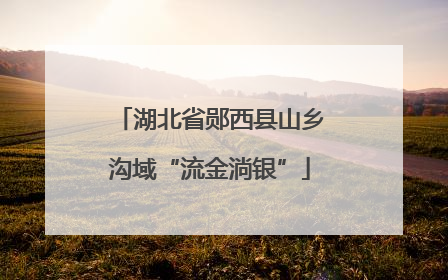 湖北省郧西县山乡沟域“流金淌银”