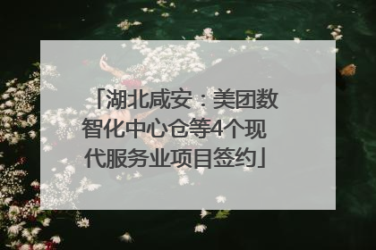 湖北咸安：美团数智化中心仓等4个现代服务业项目签约
