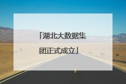 湖北大数据集团正式成立