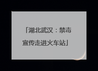 湖北武汉：禁毒宣传走进火车站