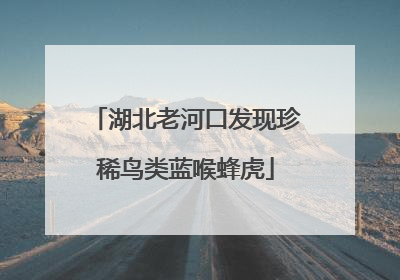 湖北老河口发现珍稀鸟类蓝喉蜂虎