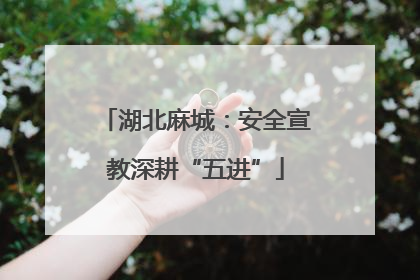 湖北麻城：安全宣教深耕“五进”