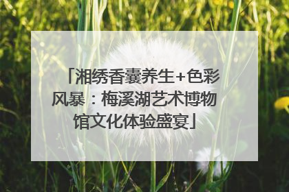 湘绣香囊养生+色彩风暴：梅溪湖艺术博物馆文化体验盛宴