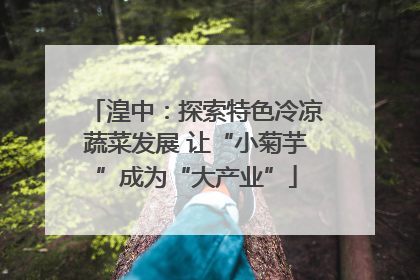 湟中：探索特色冷凉蔬菜发展 让“小菊芋”成为“大产业”