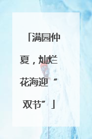 满园仲夏，灿烂花海迎“双节”