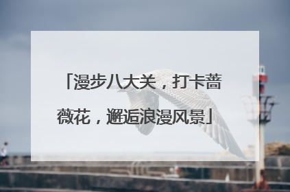 漫步八大关，打卡蔷薇花，邂逅浪漫风景