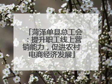 菏泽单县总工会：提升职工线上营销能力，促进农村电商经济发展