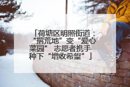 荷塘区明照街道：“撂荒地”变“爱心菜园” 志愿者携手种下“增收希望”