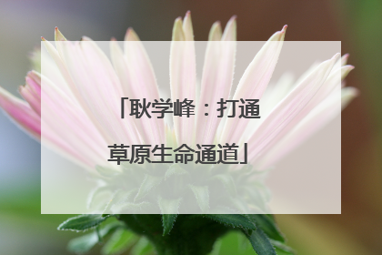 耿学峰：打通草原生命通道