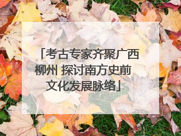 考古专家齐聚广西柳州 探讨南方史前文化发展脉络