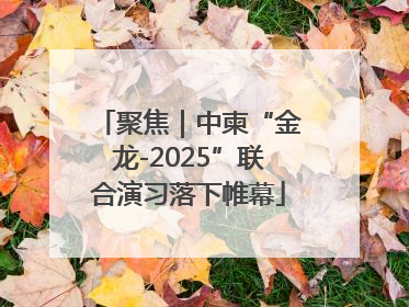 聚焦｜中柬“金龙-2025”联合演习落下帷幕