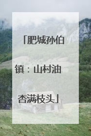 肥城孙伯镇：山村油杏满枝头