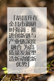 胡昌升在金昌市调研时强调：推进创新链与产业链深度融合 为高质量发展塑造新动能新优势
