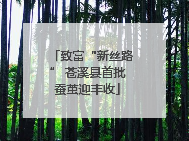 致富“新丝路” 苍溪县首批蚕茧迎丰收