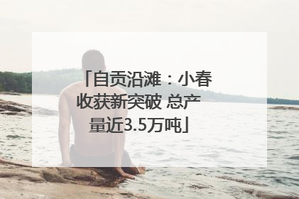 自贡沿滩：小春收获新突破 总产量近3.5万吨