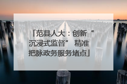 范县人大：创新“沉浸式监督” 精准把脉政务服务堵点