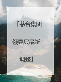 茅台集团领导层最新调整