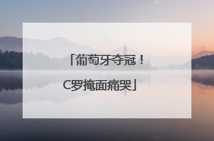 葡萄牙夺冠！C罗掩面痛哭