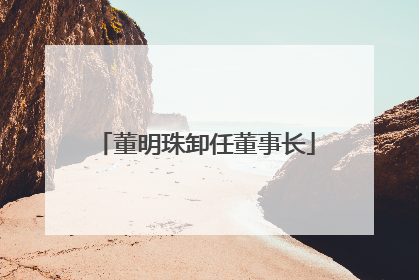 董明珠卸任董事长